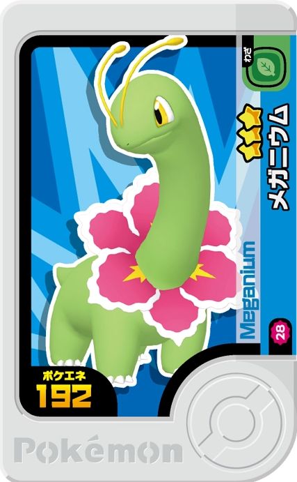 Meganium - Best Tag 1
