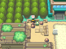 Unlimited Item Cheat in Pokemon Heartgold/Soulsilver (Action