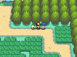 Pokemon Heart Gold Soul Silver Trainer Rematches