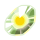 Shiny Stone