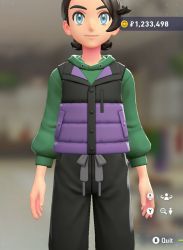 Puffer Vest & Hoodie Set