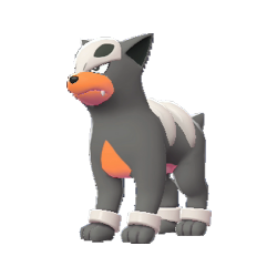 Houndour