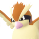 Pidgey Image