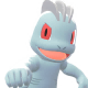 Machop Image