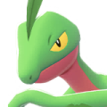 Grovyle Image