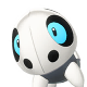 Aron Image