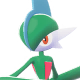Gallade Image