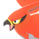 Talonflame Image