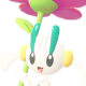 Floette Image