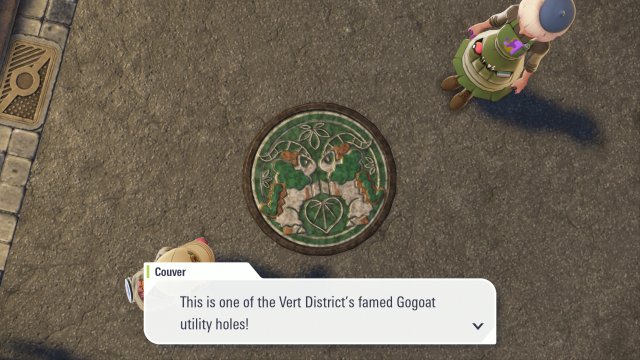 Rouge District's Utility Hole Covers