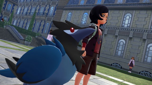 Corvisquire's Search