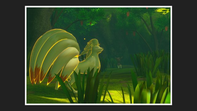 Ninetales at Forest