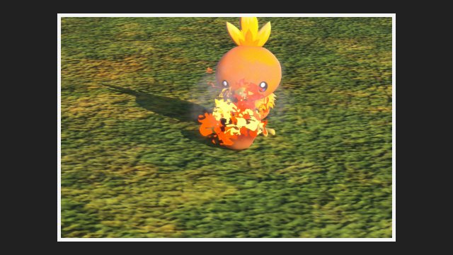 Torchic at Sands (Day)