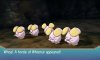 A Whismur Horde