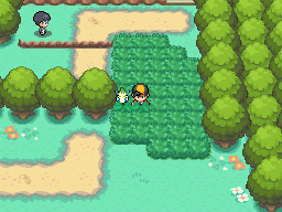 Route 1 (Kanto), Pokémon Wiki