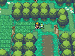 Pokéarth Kanto Viridian Forest