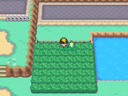 route 22: kanto