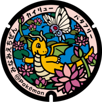 Fukui - Minami Echizen PokéLid