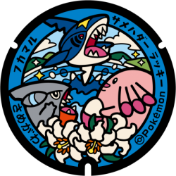 Fukushima - Samegawa Pok&eacute;Lid