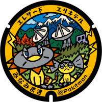 Nagano - Minamimaki Pok&eacute;Lid