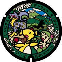 Nagasaki - Tsushima Pok&eacute;Lid