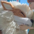 Kent's Arcanine