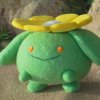 Trainer's Skiploom