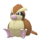 Pidgey