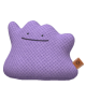 Ditto