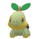 Turtwig