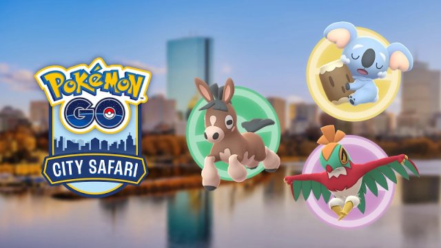 City Safari - Brisbane