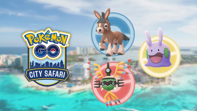 City Safari - Cancun