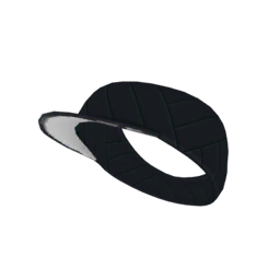 Trainer Visor