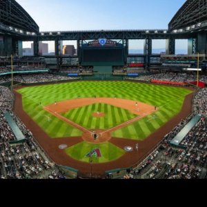 Arizona Diamond Backs