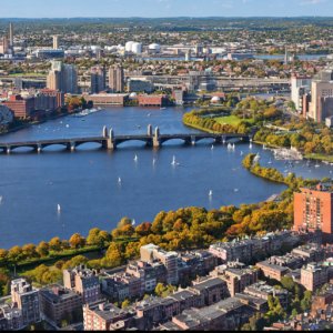 City Safari - Boston