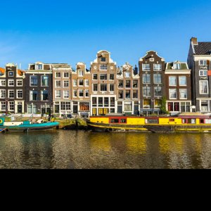City Safari Amsterdam