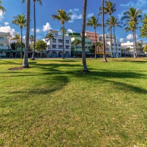 City Safari Miami City Safari Miami