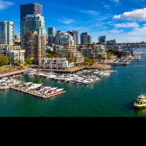 City Safari Vancouver