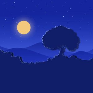 Moonlight