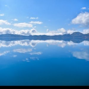 Pokelid Akita Pokelid Akita