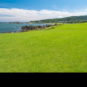 Pokelid Aomori Pokelid Aomori