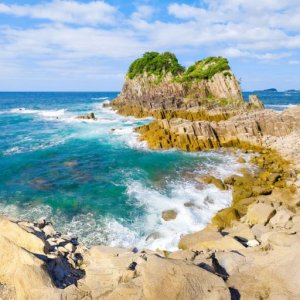 Pokelid Fukui Pokelid Fukui