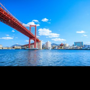 Pokelid Fukuoka Pokelid Fukuoka