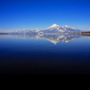 Pokelid Fukushima Pokelid Fukushima