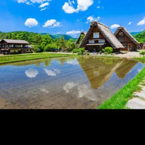 Pokelid Gifu Pokelid Gifu