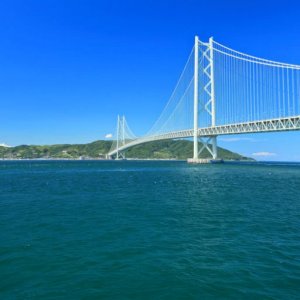 Pokelid Hyogo Pokelid Hyogo