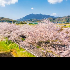 Pokelid Ibaraki Pokelid Ibaraki