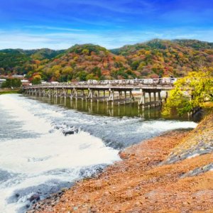 Pokelid Kyoto Pokelid Kyoto