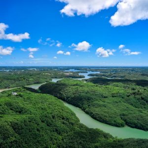 Pokelid Mie Pokelid Mie