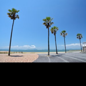 Pokelid Miyazaki Pokelid Miyazaki